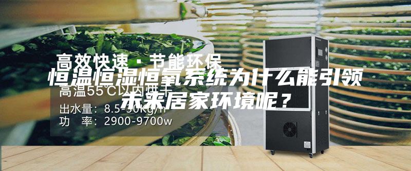 恒溫恒濕恒氧系統(tǒng)為什么能引領(lǐng)未來(lái)居家環(huán)境呢？
