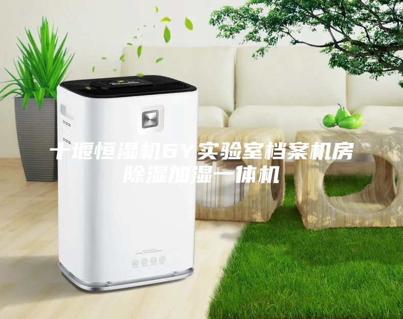十堰恒濕機(jī)6Y實驗室檔案機(jī)房除濕加濕一體機(jī)