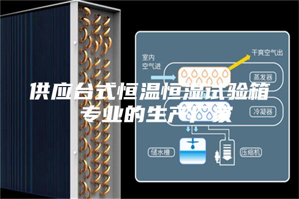 供應(yīng)臺(tái)式恒溫恒濕試驗(yàn)箱 專(zhuān)業(yè)的生產(chǎn)廠家
