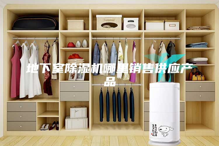 地下室除濕機哪里銷售供應產(chǎn)品