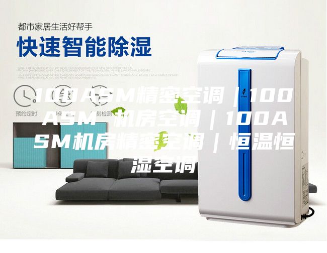 100ASM精密空調(diào)｜100ASM 機(jī)房空調(diào)｜100ASM機(jī)房精密空調(diào)｜恒溫恒濕空調(diào)