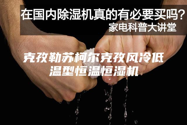 克孜勒蘇柯爾克孜風(fēng)冷低溫型恒溫恒濕機