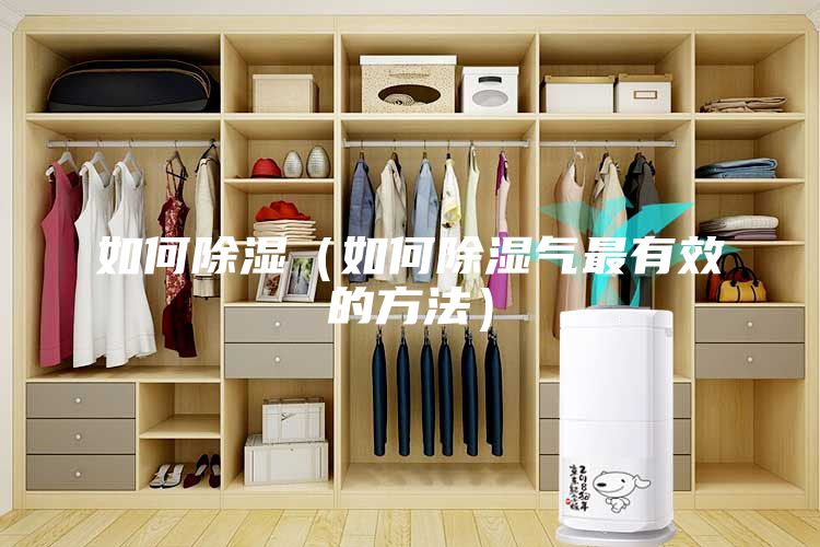 如何除濕（如何除濕氣最有效的方法）