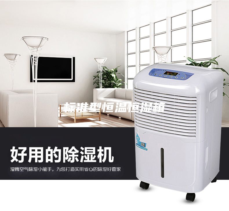 標(biāo)準(zhǔn)型恒溫恒濕箱