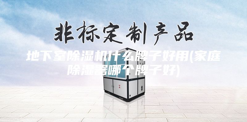 地下室除濕機什么牌子好用(家庭除濕器哪個牌子好)