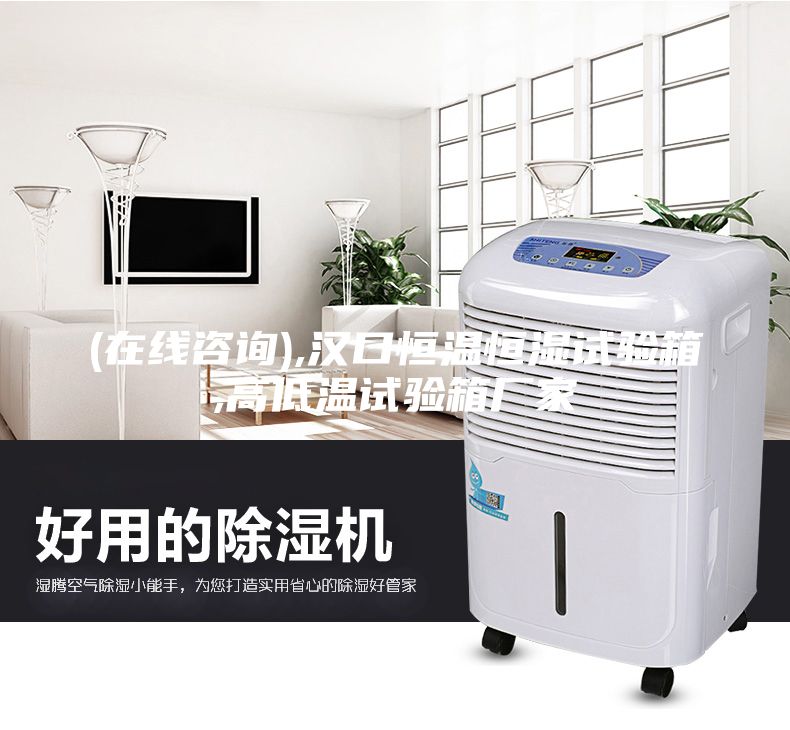 (在線咨詢),漢口恒溫恒濕試驗箱,高低溫試驗箱廠家