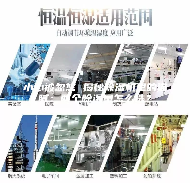 小心被忽悠 揭秘除濕機里的貓膩：兩個除濕量怎么選？