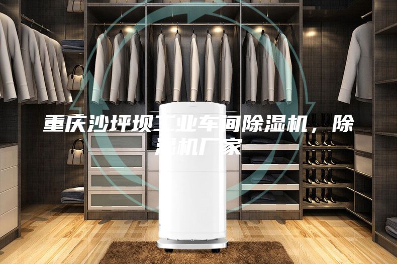 重慶沙坪壩工業(yè)車間除濕機(jī)，除濕機(jī)廠家