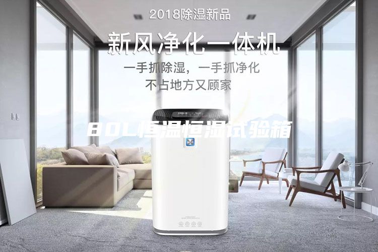 80L恒溫恒濕試驗箱