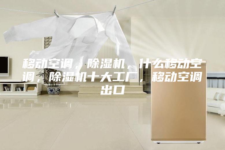 移動(dòng)空調(diào)，除濕機(jī)，什么移動(dòng)空調(diào)，除濕機(jī)十大工廠，移動(dòng)空調(diào)出口
