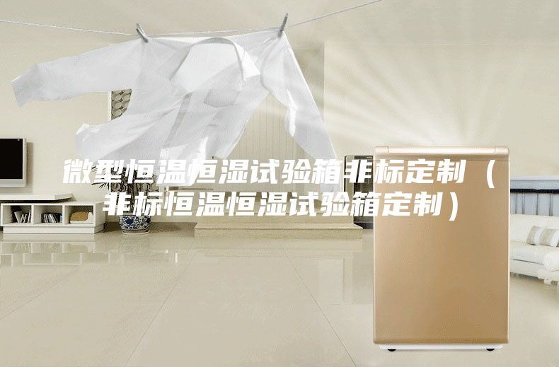 微型恒溫恒濕試驗(yàn)箱非標(biāo)定制（非標(biāo)恒溫恒濕試驗(yàn)箱定制）