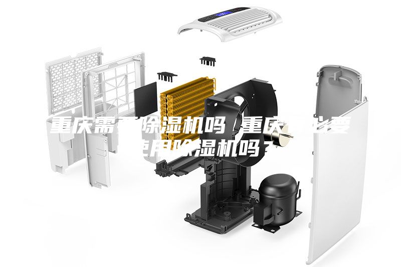 重慶需要除濕機嗎 重慶有必要使用除濕機嗎？