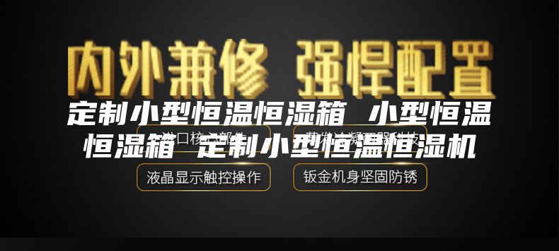 定制小型恒溫恒濕箱 小型恒溫恒濕箱 定制小型恒溫恒濕機(jī)