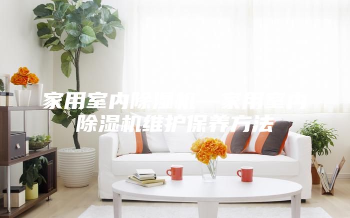 家用室內(nèi)除濕機—家用室內(nèi)除濕機維護保養(yǎng)方法