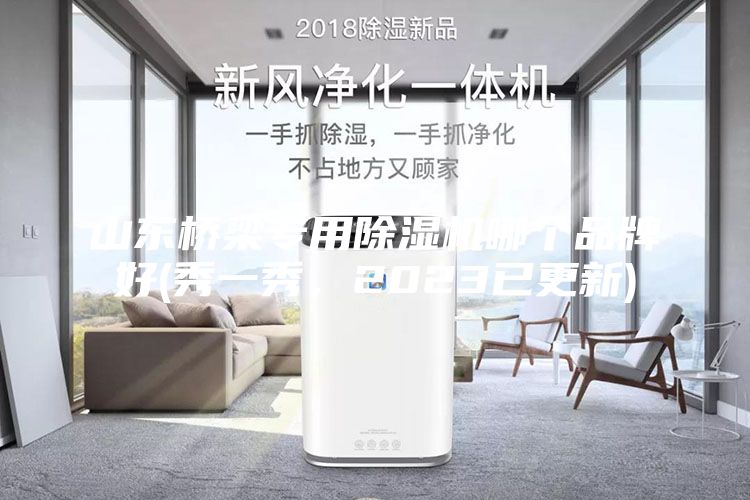 山東橋梁專用除濕機哪個品牌好(秀一秀，2023已更新)