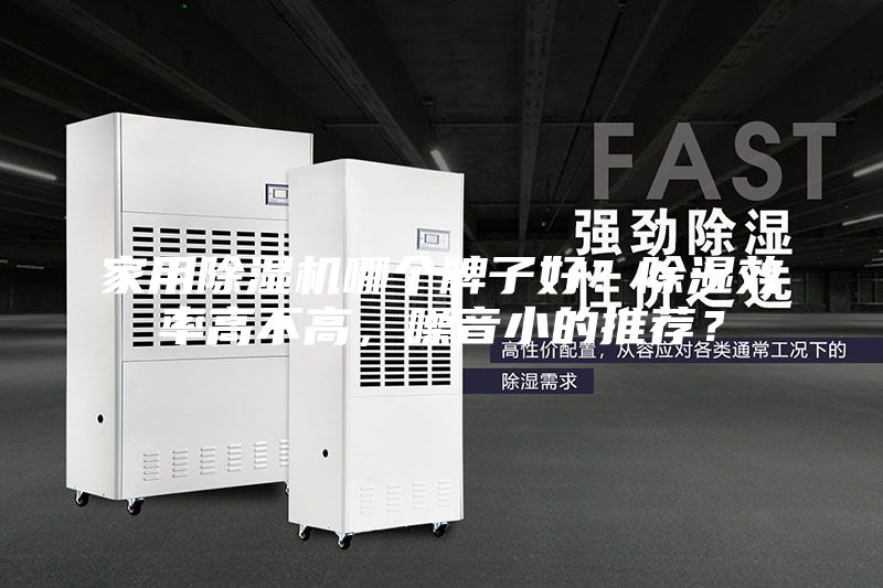 家用除濕機(jī)哪個牌子好？除濕效率高不高，噪音小的推薦？