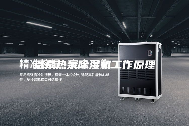 溫泉熱泵除濕機(jī)工作原理