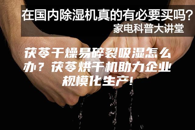 茯苓干燥易碎裂吸濕怎么辦？茯苓烘干機(jī)助力企業(yè)規(guī)模化生產(chǎn)!