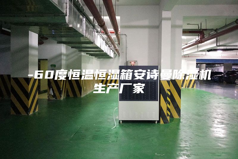 -60度恒溫恒濕箱安詩曼除濕機生產(chǎn)廠家