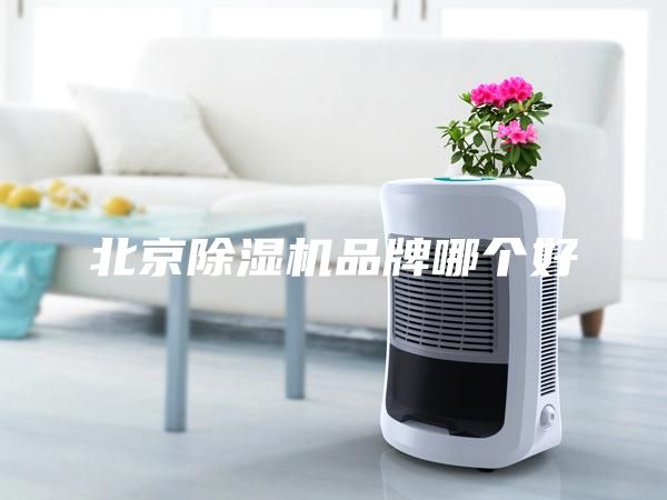北京除濕機(jī)品牌哪個好
