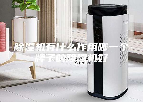 除濕機(jī)有什么作用哪一個牌子的除濕機(jī)好