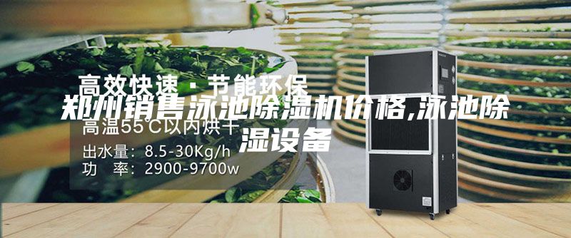 鄭州銷售泳池除濕機(jī)價(jià)格,泳池除濕設(shè)備