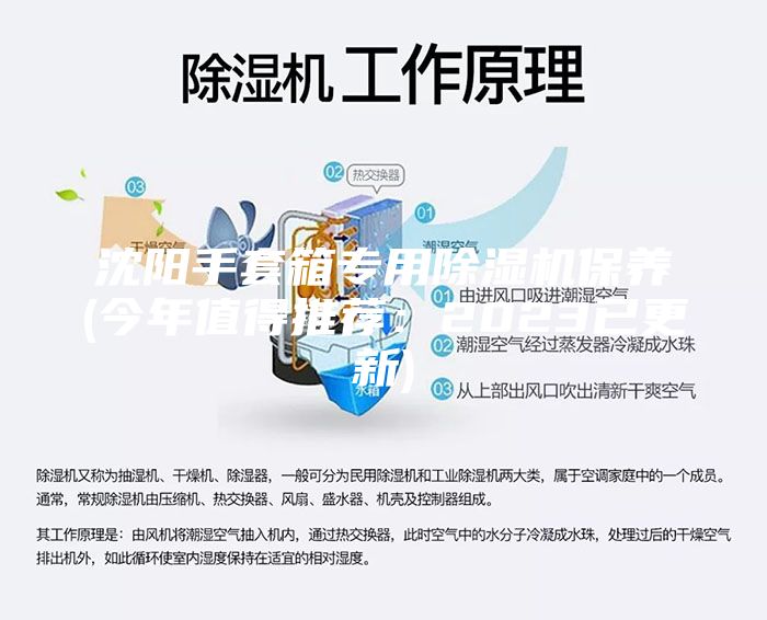 沈陽手套箱專用除濕機保養(yǎng)(今年值得推薦：2023已更新)