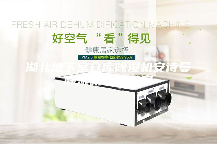 湖北地下室倉(cāng)庫(kù)除濕機(jī)安詩曼除濕機(jī)生產(chǎn)廠家