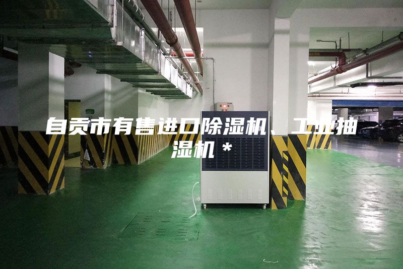 自貢市有售進口除濕機、工業(yè)抽濕機＊
