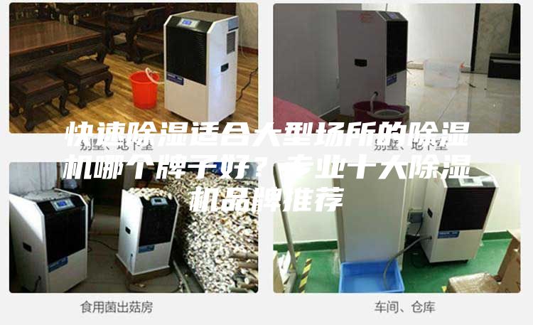 快速除濕適合大型場所的除濕機哪個牌子好？專業(yè)十大除濕機品牌推薦