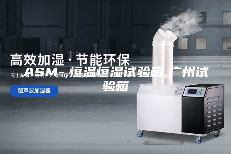 ASM-,恒溫恒濕試驗箱,廣州試驗箱