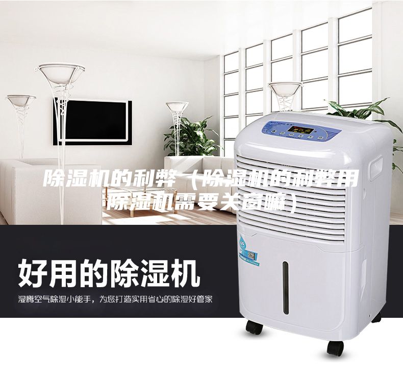除濕機的利弊（除濕機的利弊用除濕機需要關窗嘛）