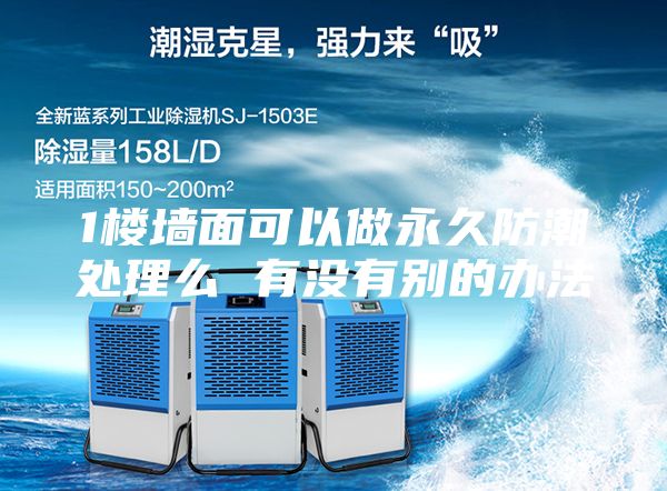 1樓墻面可以做永久防潮處理么 有沒有別的辦法