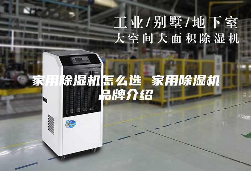 家用除濕機(jī)怎么選 家用除濕機(jī)品牌介紹