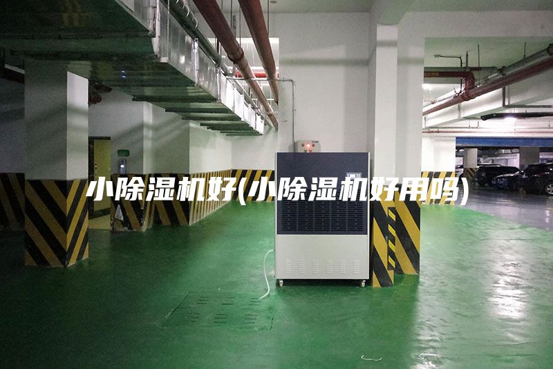 小除濕機好(小除濕機好用嗎)