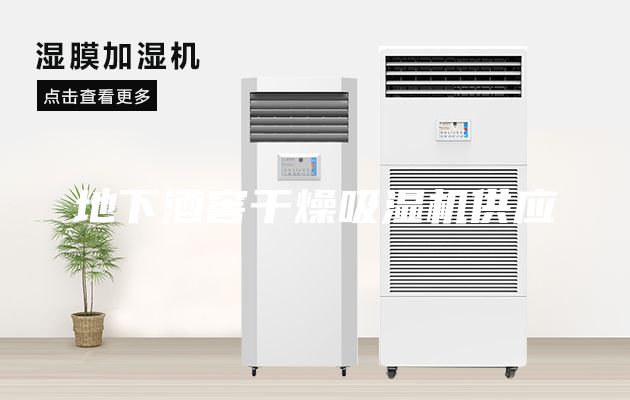 地下酒窖干燥吸濕機供應