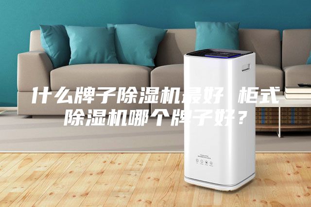 什么牌子除濕機最好 柜式除濕機哪個牌子好？