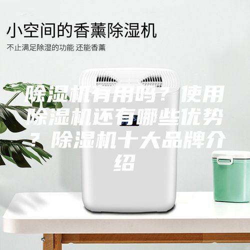 除濕機有用嗎？使用除濕機還有哪些優勢？除濕機十大品牌介紹