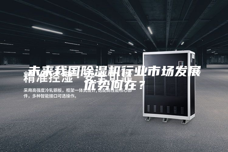 未來(lái)我國(guó)除濕機(jī)行業(yè)市場(chǎng)發(fā)展優(yōu)勢(shì)何在？