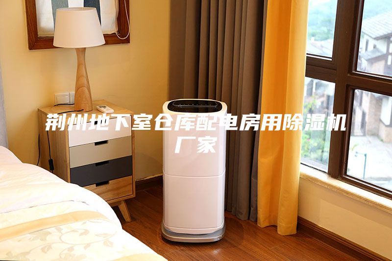 荊州地下室倉(cāng)庫(kù)配電房用除濕機(jī)廠家