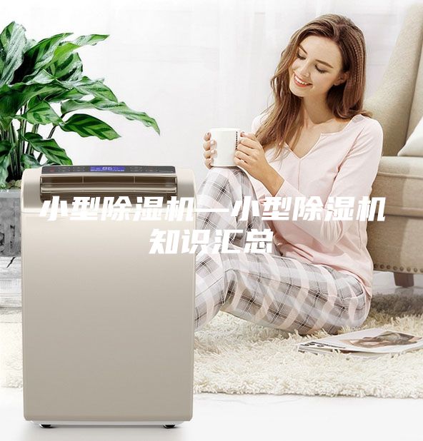 小型除濕機(jī)—小型除濕機(jī)知識(shí)匯總