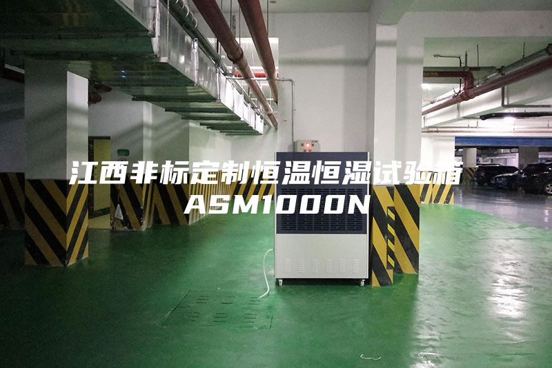 江西非標(biāo)定制恒溫恒濕試驗(yàn)箱 ASM1000N