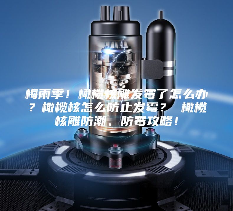 梅雨季！橄欖核雕發霉了怎么辦？橄欖核怎么防止發霉？ 橄欖核雕防潮、防霉攻略！