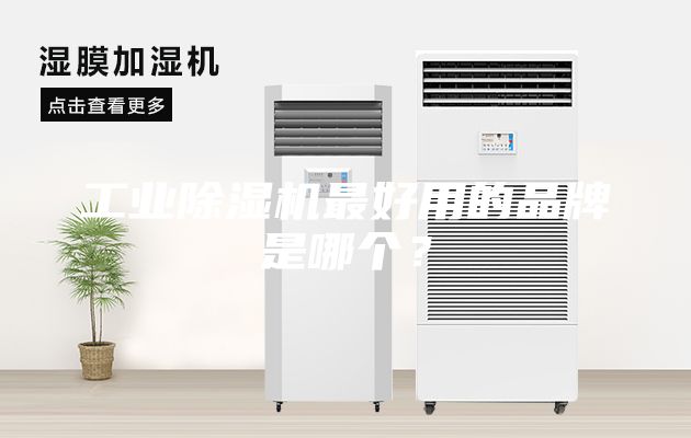 工業(yè)除濕機(jī)最好用的品牌是哪個(gè)？