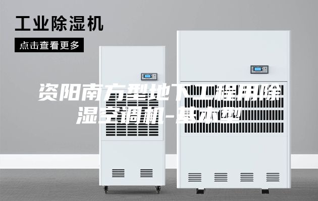 資陽(yáng)南方型地下工程用除濕空調(diào)機(jī)-基本型