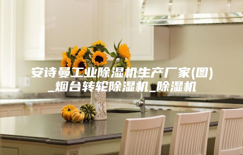安詩曼工業(yè)除濕機(jī)生產(chǎn)廠家(圖)_煙臺(tái)轉(zhuǎn)輪除濕機(jī)_除濕機(jī)