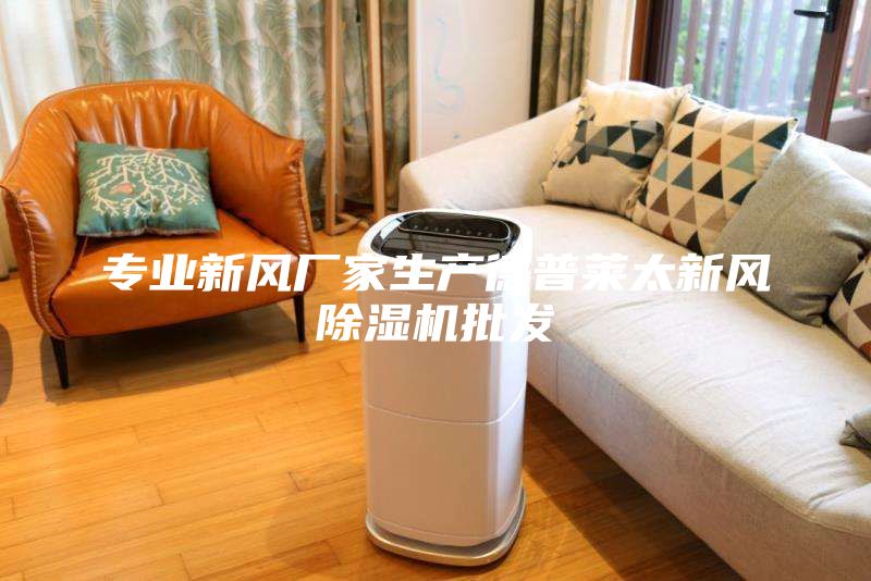 專業(yè)新風廠家生產(chǎn)德普萊太新風除濕機批發(fā)