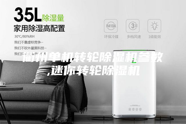 衢州單機轉輪除濕機參數(shù),迷你轉輪除濕機