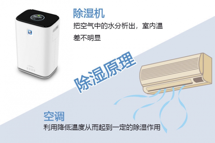 夏天悶熱潮濕，空調or除濕機，是個選擇