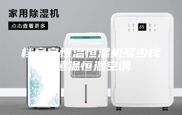 檔案室恒溫恒濕機(jī)多少錢,恒溫恒濕空調(diào)
